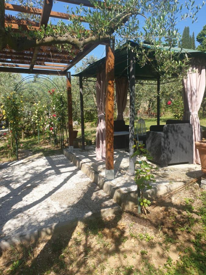 Casa Vacanze L'Oliveta Сієна Екстер'єр фото