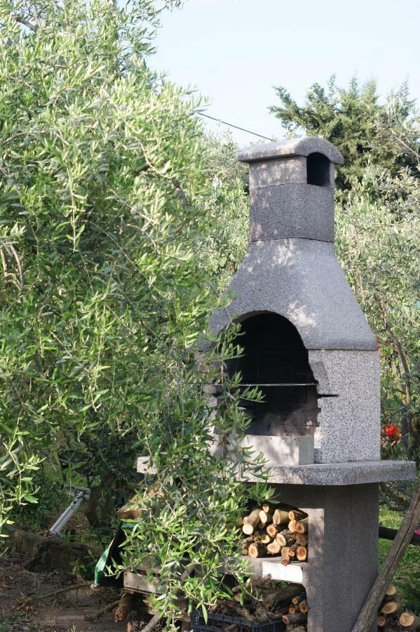 Casa Vacanze L'Oliveta Сієна Екстер'єр фото